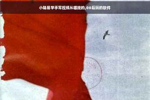 小陆易学手写视频从哪找的,00后玩的软件 小陆易学手写视频从哪找的,00后玩的软件