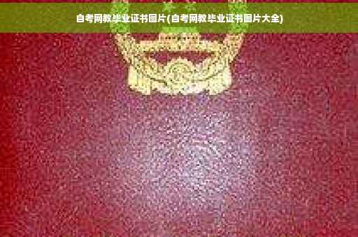 自考网教毕业证书图片(自考网教毕业证书图片大全)
