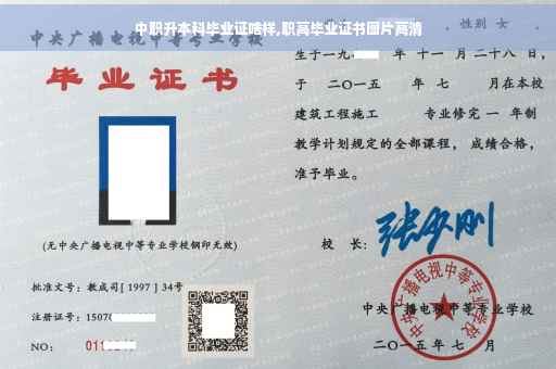 中职升本科毕业证啥样,职高毕业证书图片高清