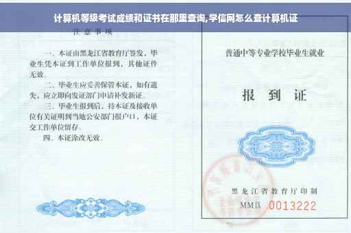 计算机等级考试成绩和证书在那里查询,学信网怎么查计算机证