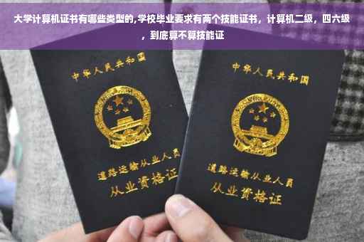 大学计算机证书有哪些类型的,学校毕业要求有两个技能证书，计算机二级，四六级，到底算不算技能证
