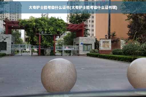 大专护士能考些什么证书(大专护士能考些什么证书呢)