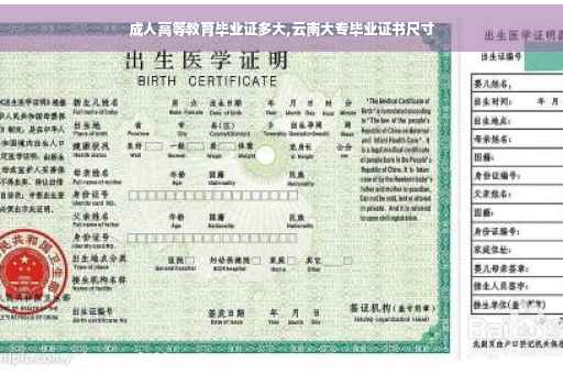 成人高等教育毕业证多大,云南大专毕业证书尺寸