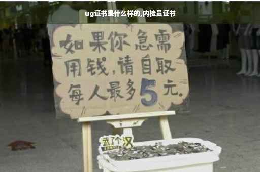 ug证书是什么样的,内检员证书