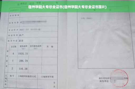 宿州学院大专毕业证书(宿州学院大专毕业证书图片)