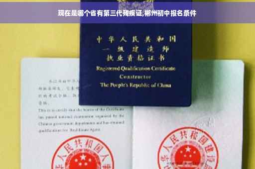 现在是哪个省有第三代残疾证,郴州初中报名条件