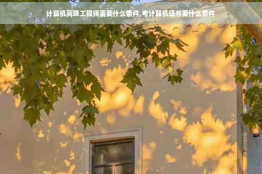 计算机高级工程师需要什么条件,考计算机证书要什么条件