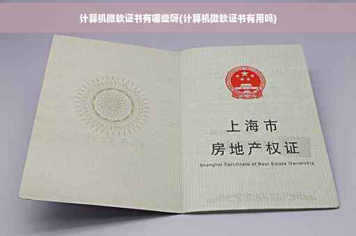 计算机微软证书有哪些呀(计算机微软证书有用吗)