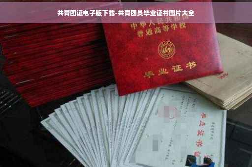 共青团证电子版下载-共青团员毕业证书图片大全