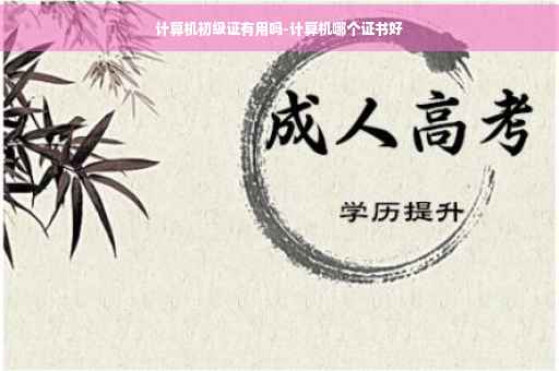 计算机初级证有用吗-计算机哪个证书好