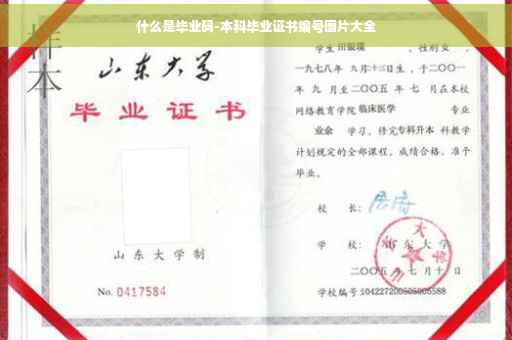 什么是毕业码-本科毕业证书编号图片大全