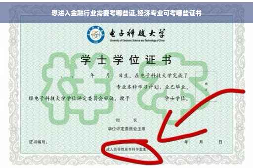 想进入金融行业需要考哪些证,经济专业可考哪些证书