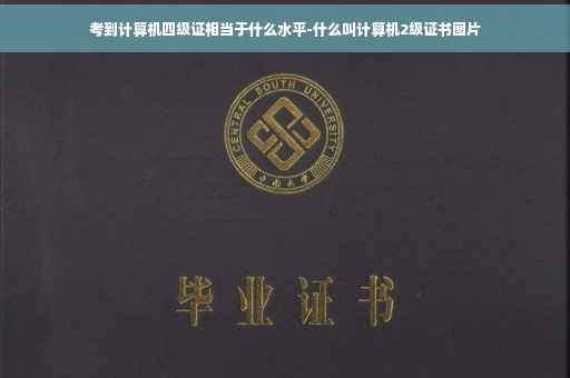 考到计算机四级证相当于什么水平-什么叫计算机2级证书图片