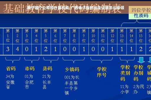 南宁哪个公司招计算机类,广西电子版的出生证明怎么申领
