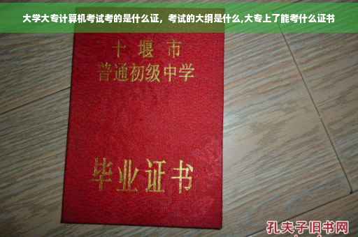 大学大专计算机考试考的是什么证，考试的大纲是什么,大专上了能考什么证书