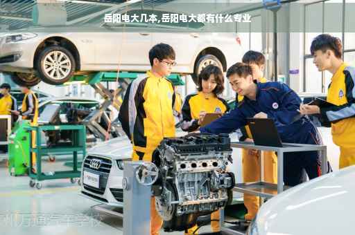 岳阳电大几本,岳阳电大都有什么专业