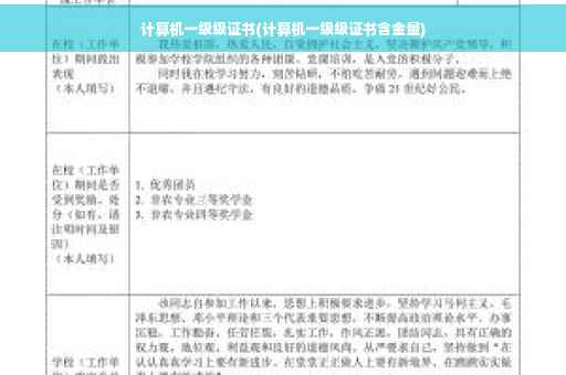 计算机一级级证书(计算机一级级证书含金量)