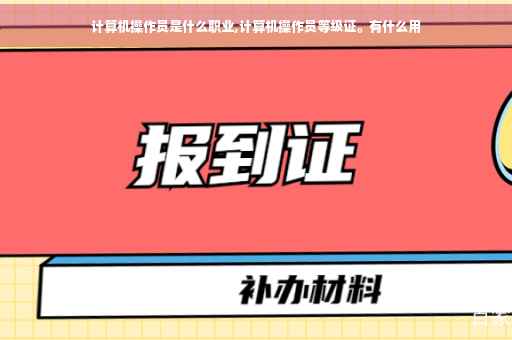 计算机操作员是什么职业,计算机操作员等级证。有什么用