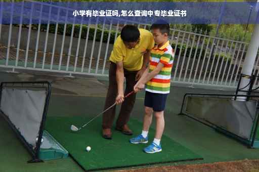 小学有毕业证吗,怎么查询中专毕业证书