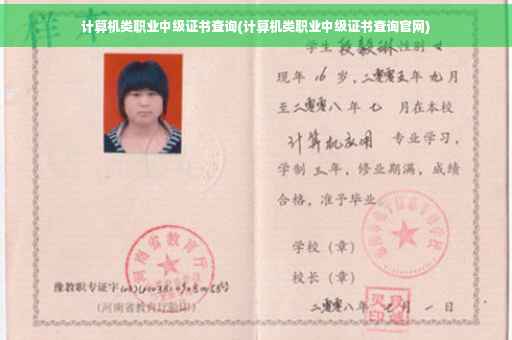 计算机类职业中级证书查询(计算机类职业中级证书查询官网)