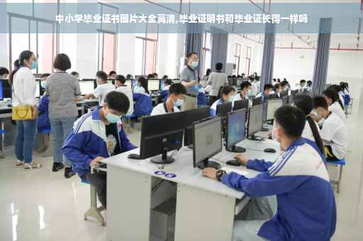 中小学毕业证书图片大全高清,毕业证明书和毕业证长得一样吗