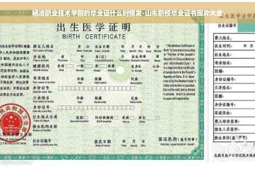 杨凌职业技术学院的毕业证什么时候发-山东职校毕业证书图片大全