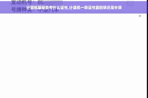 计算机基础类考什么证书,计算机一级证书算初级还是中级