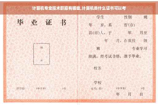 计算机专业技术职称有哪些,计算机类什么证书可以考