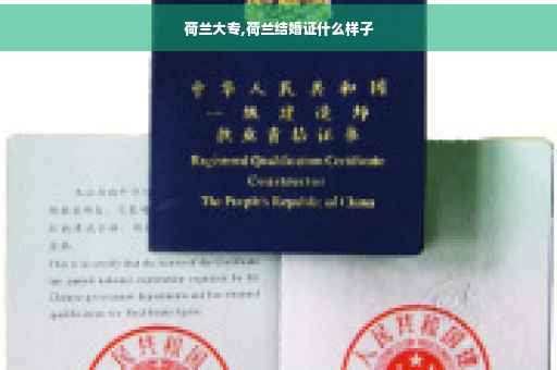 荷兰大专,荷兰结婚证什么样子