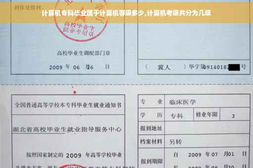 计算机专科毕业属于计算机等级多少,计算机考级共分为几级