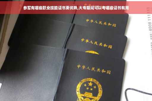 参军有哪些职业技能证书更优势,大专期间可以考哪些证书有用
