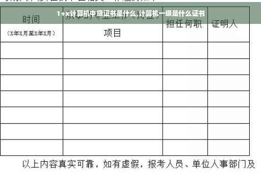 1+x计算机中级证书是什么,计算机一级是什么证书 1+x计算机中级证书是什么,计算机一级是什么证书