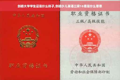 剑桥大学学生证是什么样子,剑桥少儿英语三级10盾是什么意思