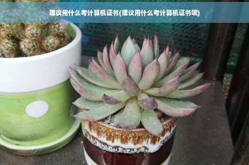 建议用什么考计算机证书(建议用什么考计算机证书呢)