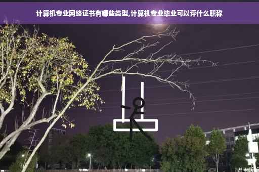 计算机专业网络证书有哪些类型,计算机专业毕业可以评什么职称