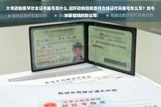 大专动物医学毕业证书编号是什么,你好动物防疫条件合格证代码编号怎么写？如牛羊屠宰场的怎么写