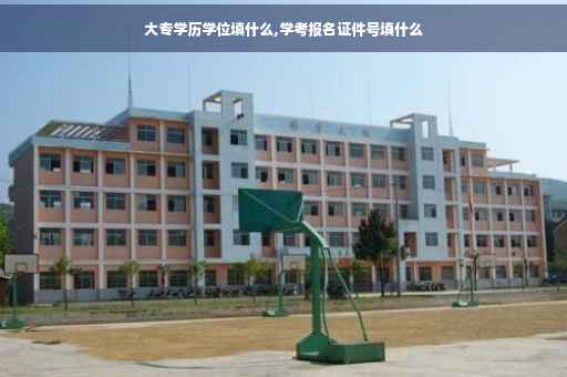 大专学历学位填什么,学考报名证件号填什么