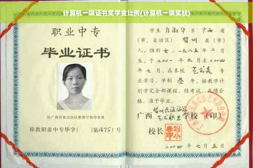 计算机一级证书奖学金比例(计算机一级奖状)