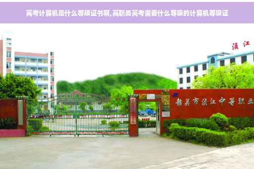 高考计算机是什么等级证书啊,高职类高考需要什么等级的计算机等级证
