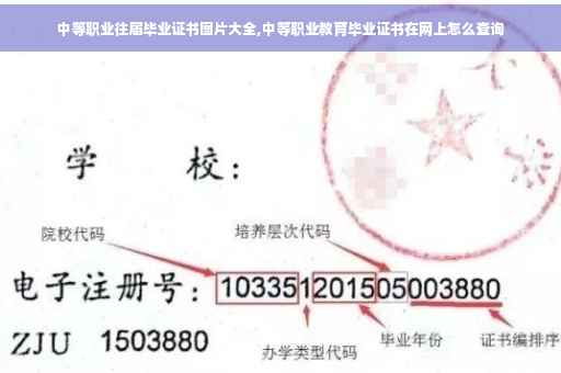 中等职业往届毕业证书图片大全,中等职业教育毕业证书在网上怎么查询