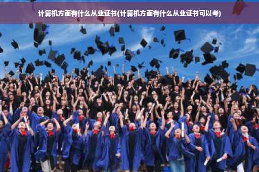 计算机方面有什么从业证书(计算机方面有什么从业证书可以考)