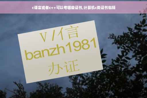 c语言或者c++可以考哪些证书,计算机c类证书包括