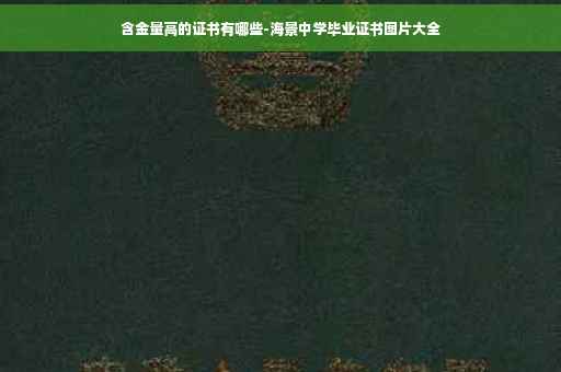 含金量高的证书有哪些-海景中学毕业证书图片大全