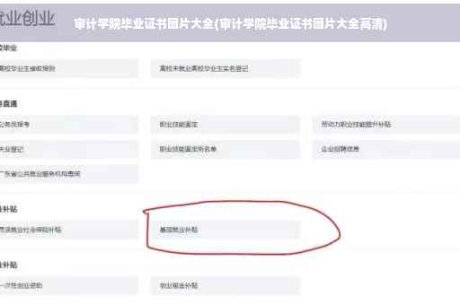审计学院毕业证书图片大全(审计学院毕业证书图片大全高清)