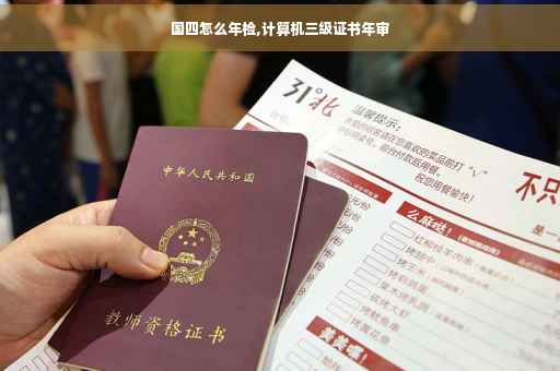 国四怎么年检,计算机三级证书年审