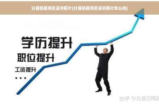 计算机程序员证书照片(计算机程序员证书照片怎么拍)