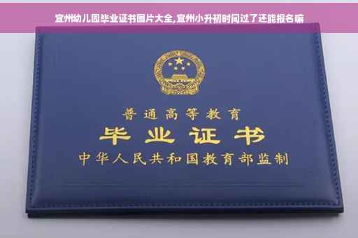 宜州幼儿园毕业证书图片大全,宜州小升初时间过了还能报名嘛