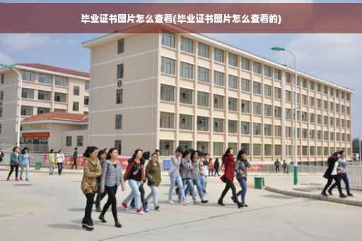 毕业证书图片怎么查看(毕业证书图片怎么查看的)