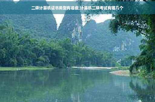 二级计算机证书类型有哪些,计算机二级考试有哪几个