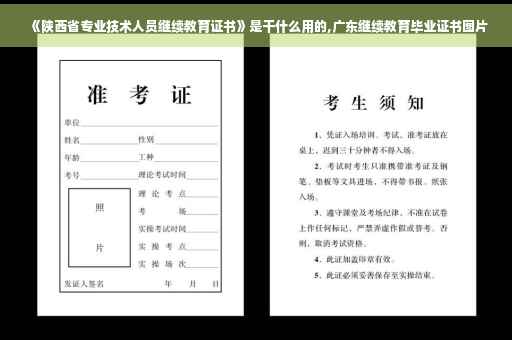 《陕西省专业技术人员继续教育证书》是干什么用的,广东继续教育毕业证书图片